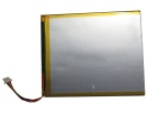 30105125 batterie store, rtdpart 3.8V 19Wh batteries